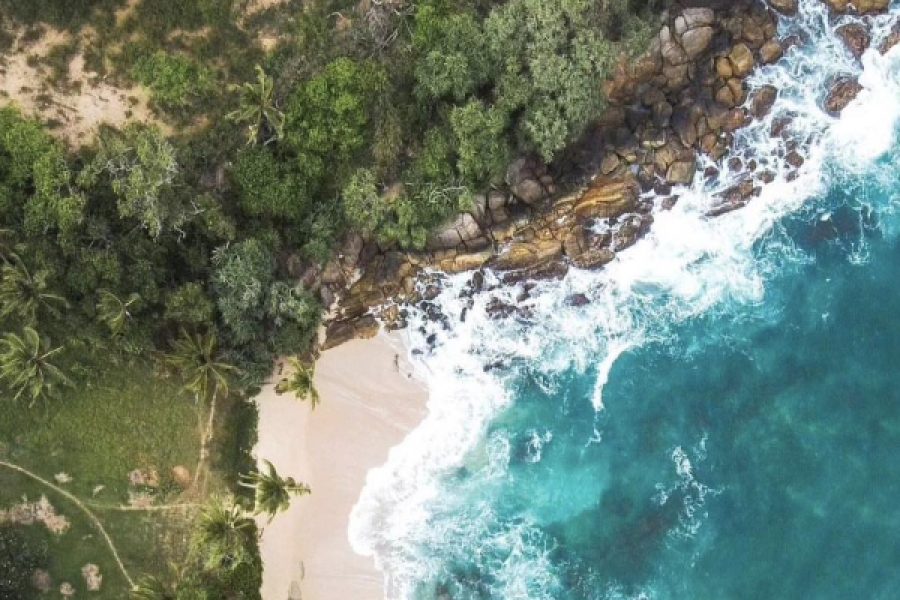 Galle Coastal Adventure: Whale Watching, Jungle Beach, and Galle Fort Exploration
