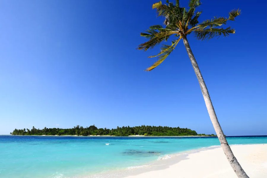 Exclusive Half Day Trincomalee City Tour