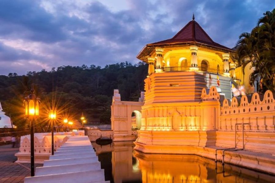Kandy Exploration Day Tour from Colombo