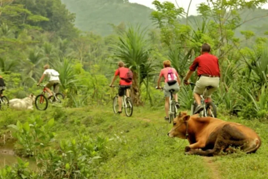 Colombo Countryside Cycling Tour