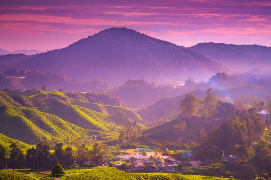 Nuwara Eliya 2 Day Tour from Colombo
