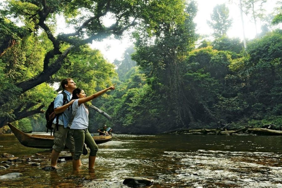 Taman Negara National Park DAY Tour