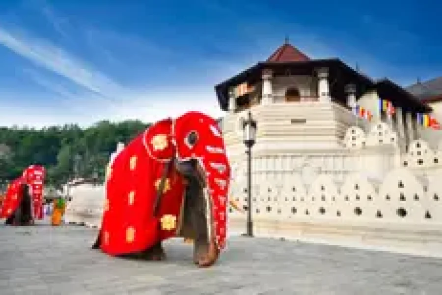 Sri Lanka Uncovered: A 14-Day Cultural & Natural Escape