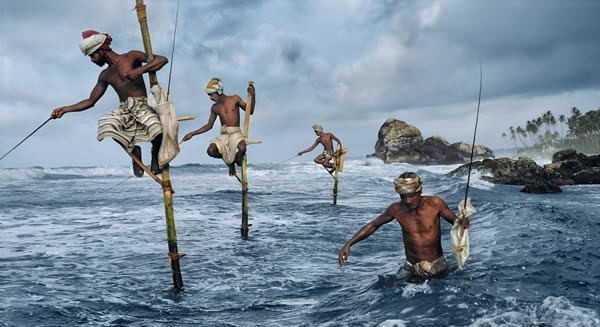 Day 1 – Arrival in Negombo