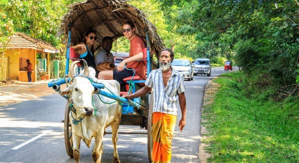 Day 6 – Dambulla & Leisure