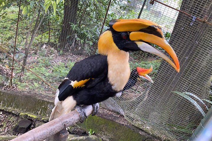 Garden & Park Half-Day Nature Tour in Kuala Lumpur (SIC – Shared Tour)