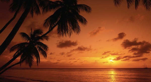 Day 03 – Trincomalee | Beach & Marine Life Experience