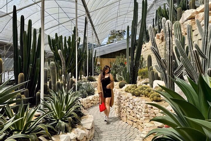 Cameron Highlands Day Tour from Kuala Lumpur – Shared SIC Tour with Lunch